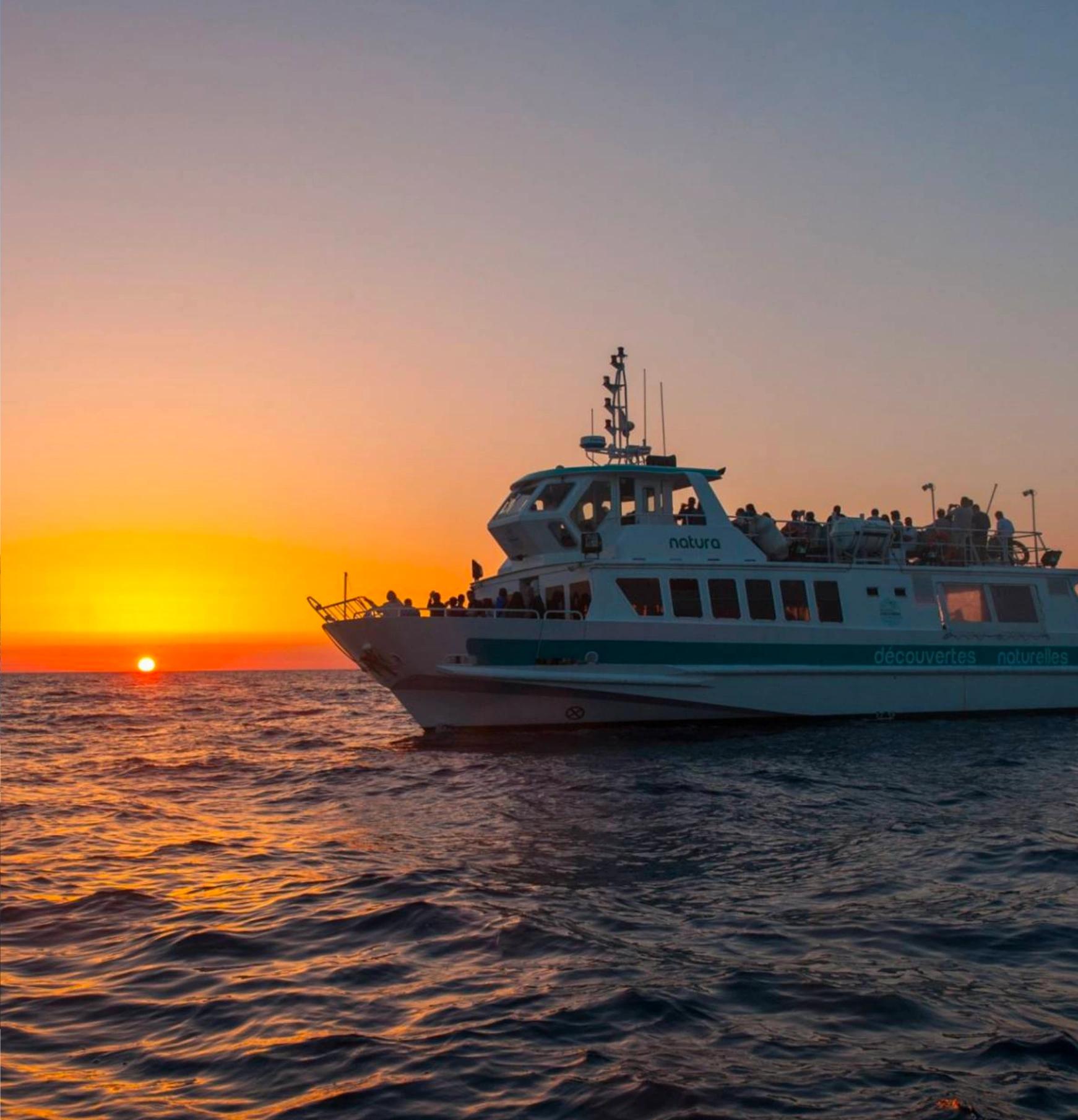 compagnie de promenade en mer en Corse-du-Sud