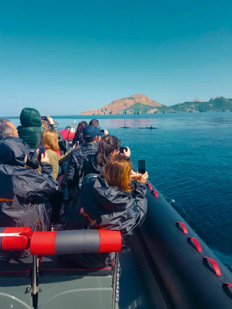 Visiter la Corse-du-Sud à bord de nos semi-rigides